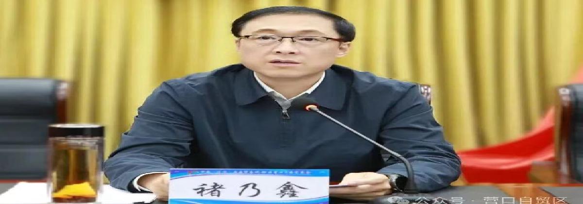 辽宁自贸区营口片区召开党工委（扩大）会议 传达学习贯彻党的二十届四中全会精神