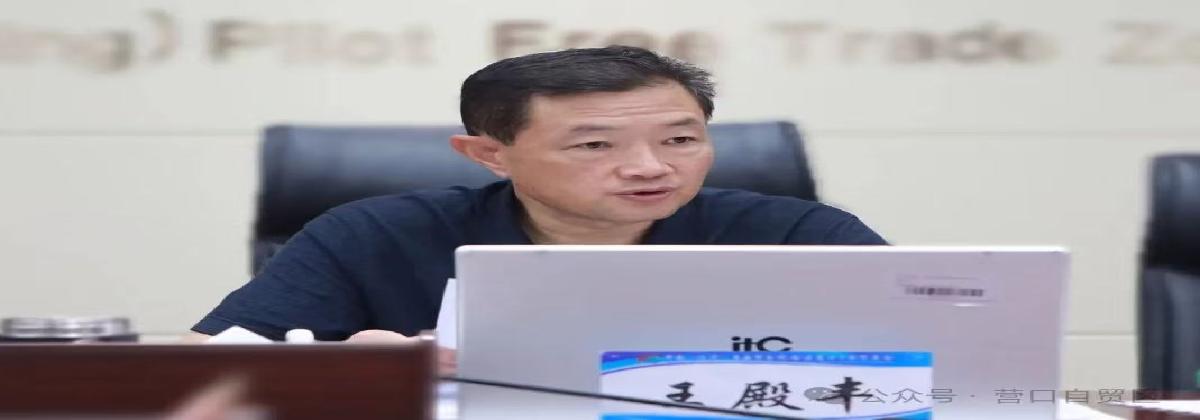 辽宁自贸区营口片区党工委(扩大)会议暨党工委党的建设工作领导小组会议召开