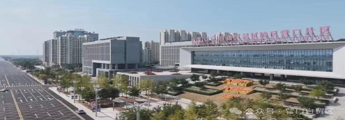 【奋进的五年】辽宁自贸区营口片区释放改革发展强劲动能
